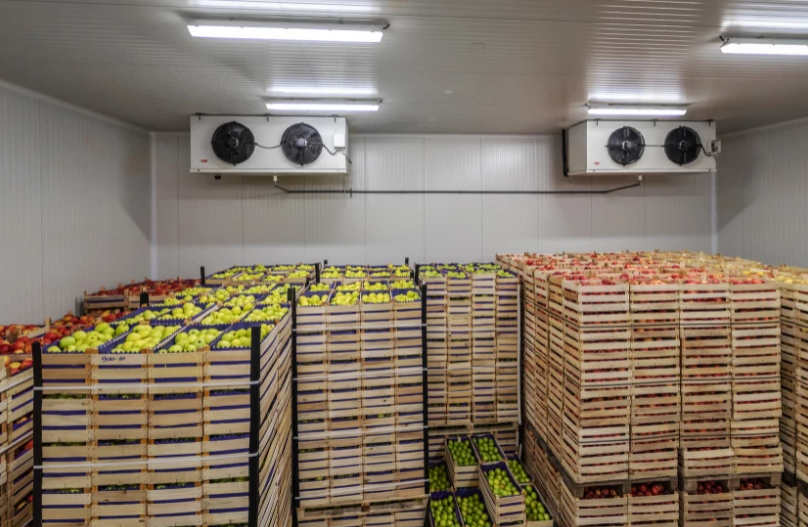 Modern industrial cold storage warehouse interior